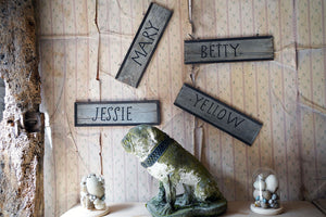 A Group of Four Early 20thC Painted Pine American Stable Signs