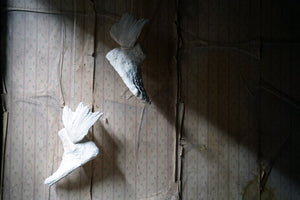Beth Carter; Winged Feet; White Plaster; Not Editioned