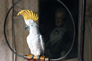 An Unusual Regency & Later Mahogany Bird Perch Stand with Porcelain Cockatoo