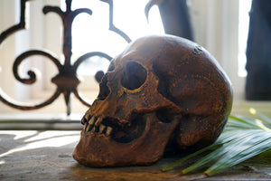 An Early 20thC Painted Plaster Model of a Human Skull Dated to 1938