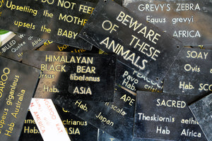 Bristol Zoological Gardens: A Group of Twenty-Six Mid 20thC Enclosure Plaques c.1940-60