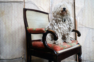 A Regency/William IV Period Mahogany Campaign & Silk Upholstered Armchair c.1825-37