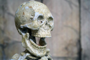 A Unique Folk Art Gesso Pine & Papier-Mâché Half-Size Articulated Figure of a Human Skeleton c.1900-20