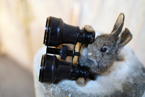 Doe & Hope X Hannah Matthews; Act VIII; Unique