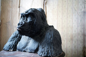 A Painted Plaster Bust of “Mok the Western Lowland Gorilla”; Frederick Thomas Daws (1878-1956)
