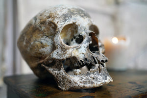 A Relic Patinated Human Skull Pre c.1900
