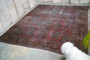 A Large Early 20thC Sarouk Carpet c.1930-40