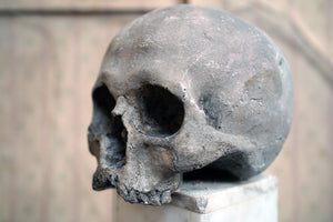 An Early/Mid 20thC Papier-Mâché Model of a Human Skull on Marble Stand