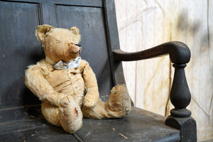 The World’s Most Loved Teddy c.1930