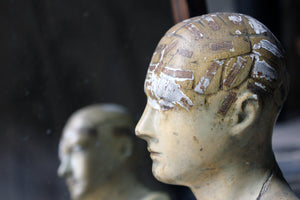 A Rare Plaster Phrenology Bust Prepared by A.L. Vago (1839-1896) London 1869