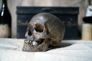 An 18thC Male Human Skull; The Horniman Collection; Ex Dick Moy