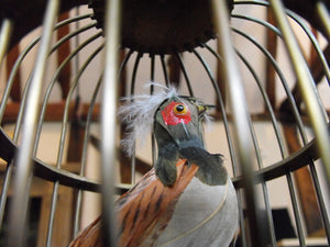 A Singing Bird Automaton In A Brass Cage