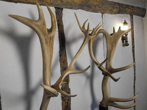 A Phenomenal 1930s Oak & Antler Formed Hall Stand, the Antlers Deriving from Woburn Abbey Estate