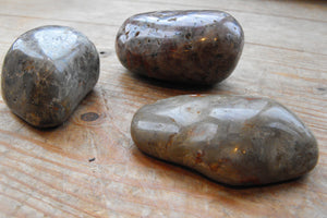 A Fine Group of Three Polished Jurassic Period Globular Geological Dinosaur Coprolites