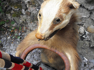 A Victorian Novelty Stick Stand in the Form of a Standing Taxidermy Badger