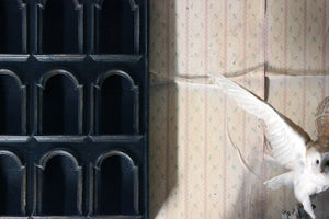 An Unusual Victorian Ebonised Arcaded Wall Cabinet c.1880