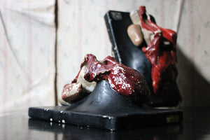 Two Late 19thC German Anatomical Models of Tongues by Bock Steger c.1890