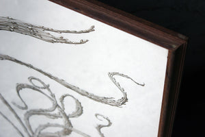Raphaël Ghislain,b.1928; A Botanical Sepia Ink Study on Paper; The Japanese Dragon Willow 