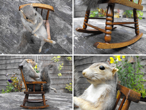 Rocking squirrel hot sale