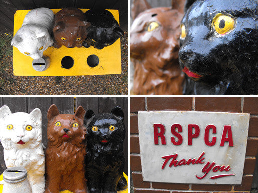 A Comical Mid 20thC Vintage RSPCA Charity Collection Box – Doe & Hope
