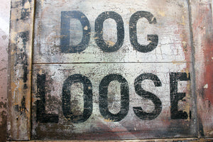 A Large Mid 20thC Painted Pine Sign; ‘Dog Loose Keep Out!' c.1960