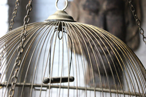 A Pretty c.1900 Spherical Brass Bird Cage