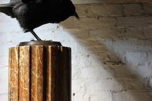 A Decorative Faux Sienna Marble Plaster Column c.1890