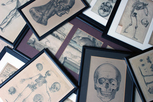 A Mixed Group of Twenty Framed 18th/19thC Anatomical Engravings & Prints