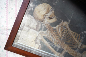 A Large Early 20thC Italian Oil on Canvas Memento Mori Painting of a Skeleton