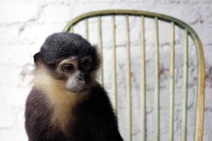 ‘The Waiting Room’