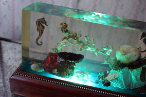 A Unique Mid-20thC Oak & Lucite Illuminated Aquarium c.1950-60