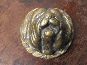 A Charming Edwardian Brass Doorknocker in the form of an Old English Sheepdog