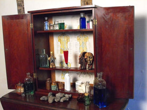 A Fascinating Late 19thC Apothecary Medical Cabinet to Include Bottles, Diagrams & Models