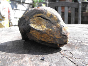 Folk Magic: A Rare & Early Dried Cat Head