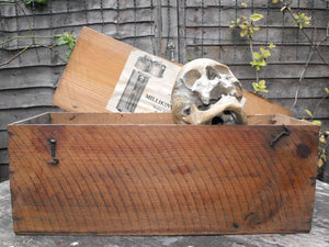 A Late 19thC Osteological Human Part Skeleton & Skull in Pine Box, Supplied by Millikin & Lawley, London