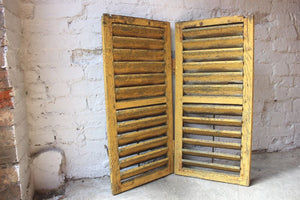 A Gorgeous Pair of Painted Antique Louvre Window Shutters