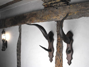 Two Pairs of Vintage Goat and Sheep Horn Mounts