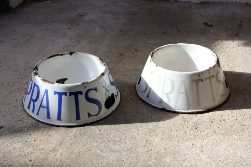 Enamel dog sale bowl