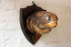 An Early 20thC Mounted Taxidermy Giant Tortoise Head; Dated to 1909 Ascension Island