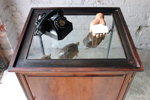 A Very Good Quality c.1890 Mahogany Shop Counter Display Cabinet by H.Mills Shop Fitter, London