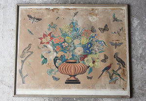 Mid 19thC Italian School in The Manner of Peter Casteels; A Botanical Study of Birds, Flowers & Butterflies