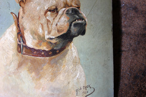 An Early 20thC Oil on Panel Study of an English Bulldog; Alph Jack 1926