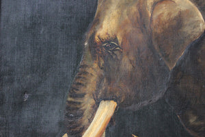 A Charming Edwardian Period English School Oil on Canvas of an African Elephant Dated to 1906 by E Whiteley