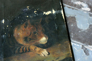 A 19thC English School Oil on Canvas Study of a Cat c.1882