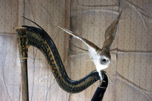 O Ruin’d Harp; Unique