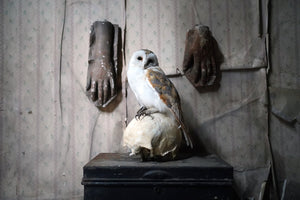 Out, Out, Brief Candle; Unique