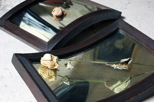 A Rare Pair of Early 20thC Convex & Concave Oak Optometrists Wall Mirrors c.1925