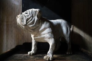 An Early 20thC Life-Size Painted Papier-Mâché Model of a Bulldog c.1900-20