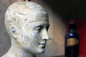 A Scarce Plaster Phrenology Bust Prepared by A.L. Vago (1839-1896) of Gray's Inn Road, London & Dated to 1883