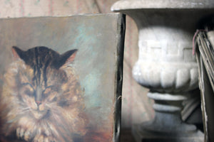 A Charming Early 20thC Oil on Canvas Portrait of a Maine Coon Tabby Cat Dated to 1916; From the Attics at Rokeby Park, County Durham